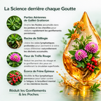 Kivo Gouttes Détox Lymphatique